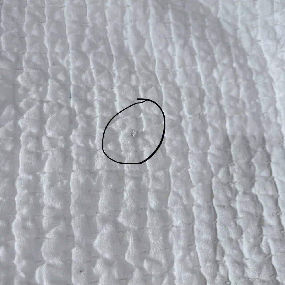 Pottery Barn King Shams - Picture 4 of 11